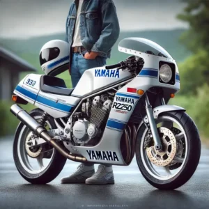 RZ250はなぜ高いのか？理由を詳しく解説